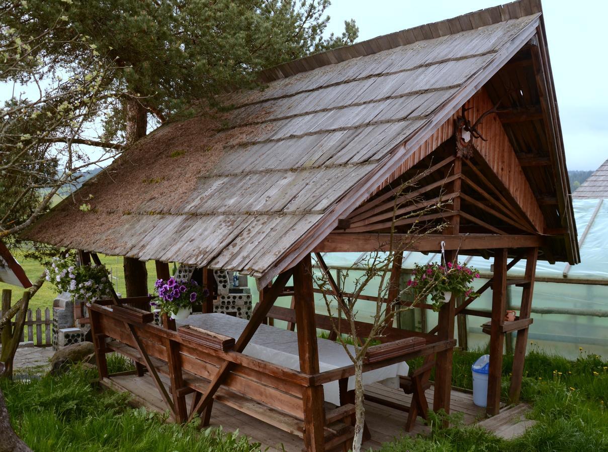 Casa Florea Poiana Stampei Bagian luar foto