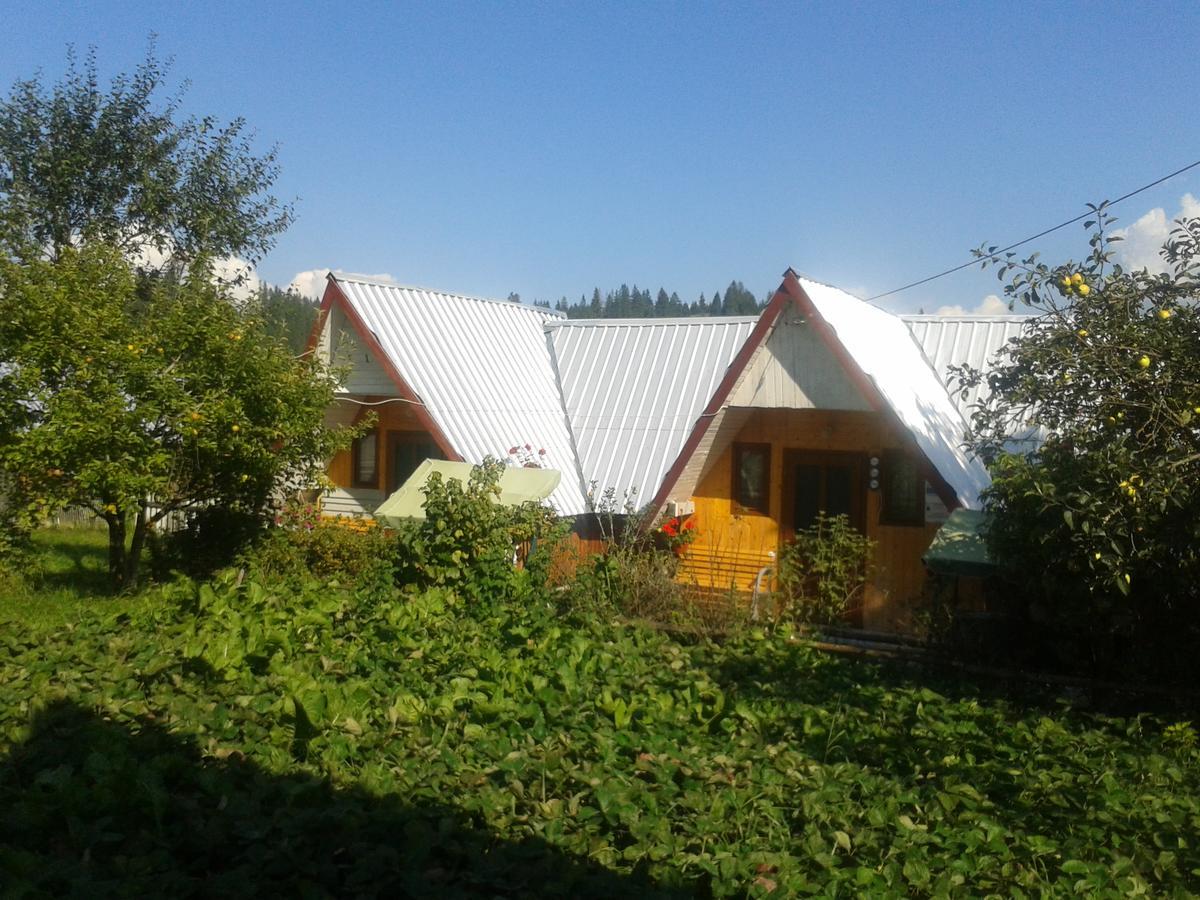 Casa Florea Poiana Stampei Bagian luar foto