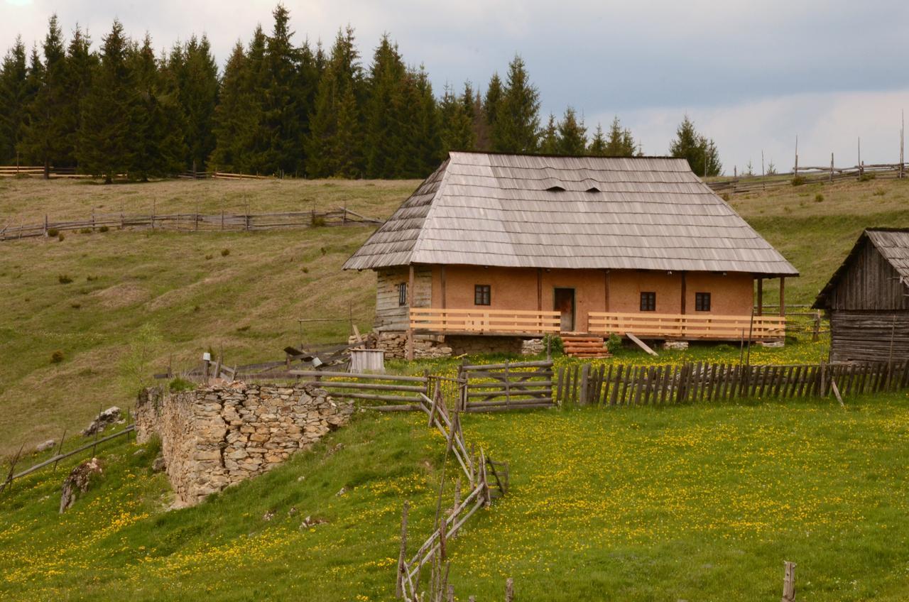 Casa Florea Poiana Stampei Bagian luar foto