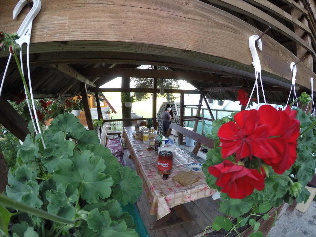 Casa Florea Poiana Stampei Bagian luar foto