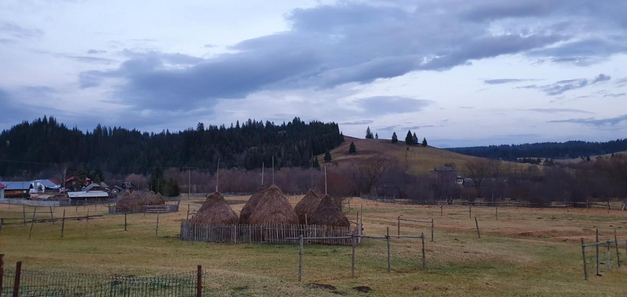 Casa Florea Poiana Stampei Bagian luar foto