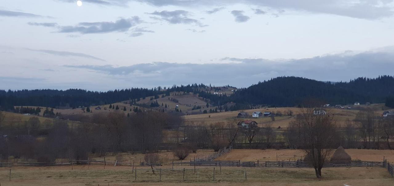 Casa Florea Poiana Stampei Bagian luar foto