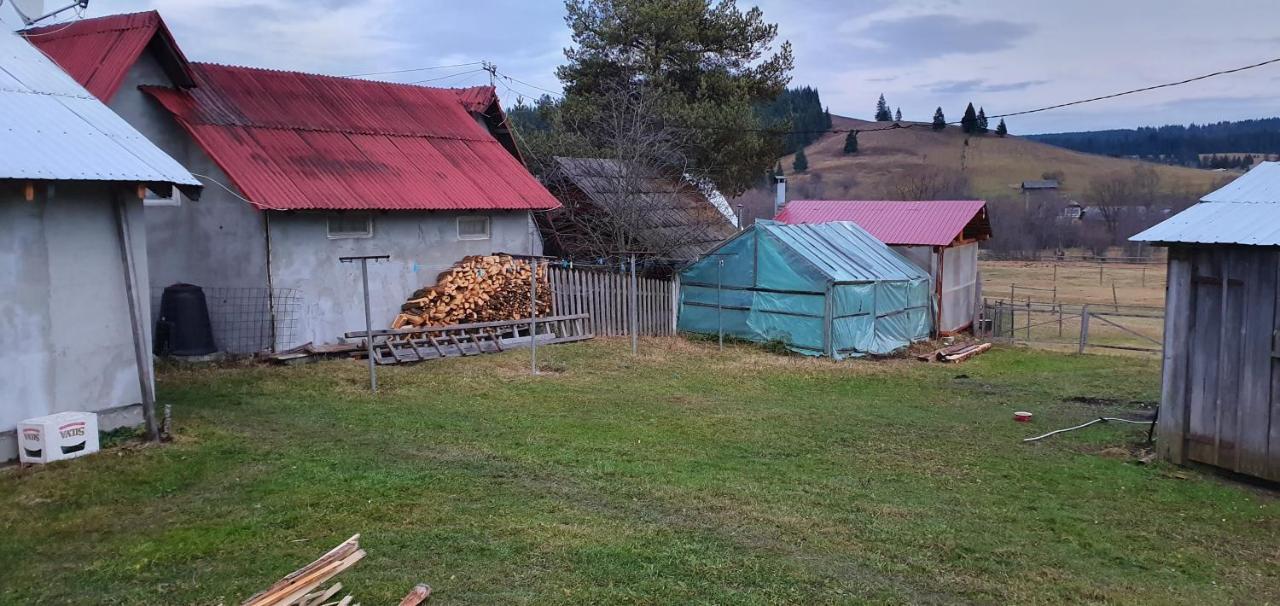 Casa Florea Poiana Stampei Bagian luar foto